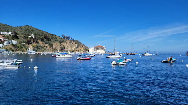 Boats off the coast of Avalon on Catalina Island, California