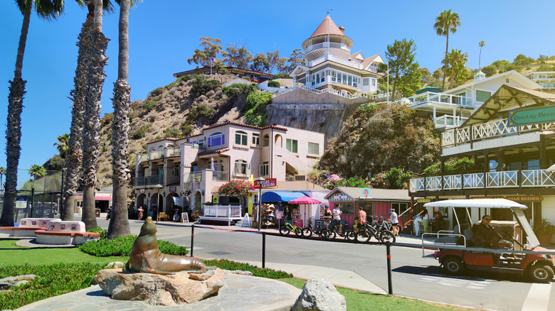 The main street in Avalon harbor on Catalina Island, California