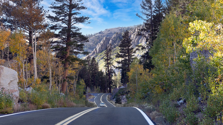 A paved road leading down a forested rocky mountain