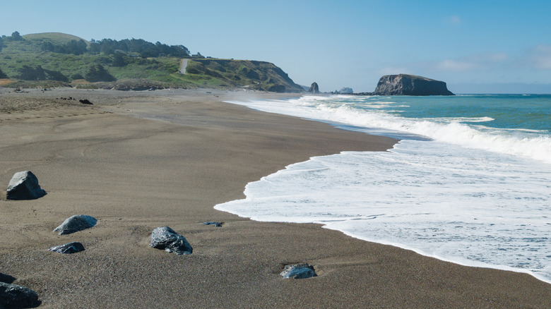rock view on the Sonoma Coast beach, California.