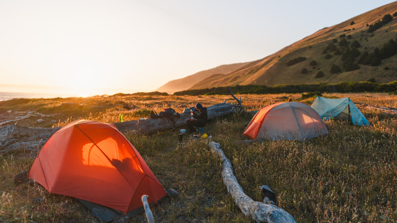 A dispersed campsite and tents set up along the Lost Coast Trail in California