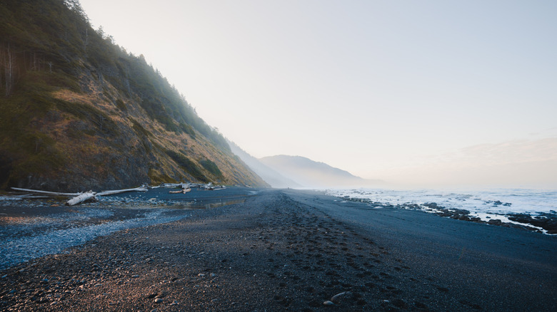 Sand of the Lost Coast Trail in California during a misty morning