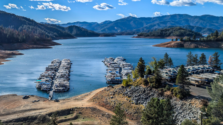 Boats moored on docks on Shasta Lake in California