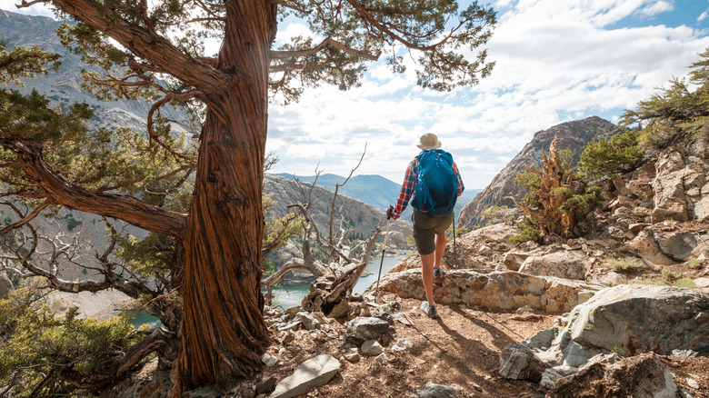 A hiker high up in California's Sierra Nevada