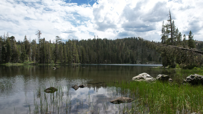 Gold Lake in California's 'Lost Sierra' in the Lakes Basin Recreation Area