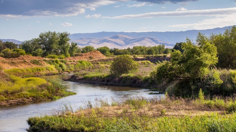 The scenery of Dos Rios State Park in California