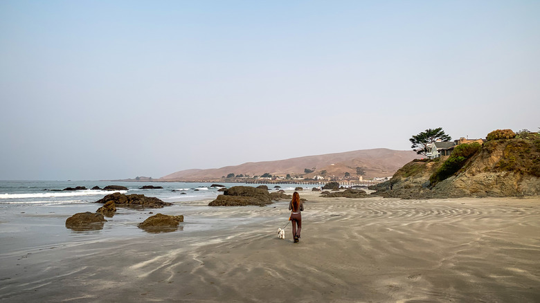 Cayucos Beach with one person on it in Cayucos, California