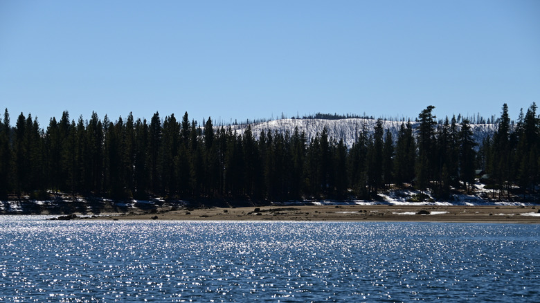 lake water shimmering in sunlight with forest and mountain in background