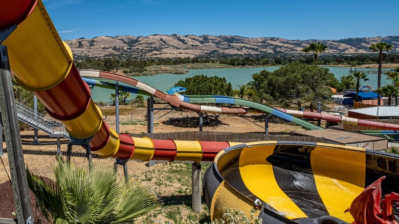 Multiple, colorful waterslides at Raging Waters San Jose, with water and hills in the background