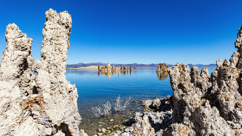 California's Mono Lake, a high-altitude salt lake, shown with limestone-tufa towers