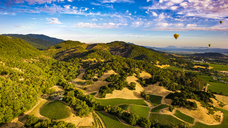 Hot air balloons over Napa Valley vineyards in California