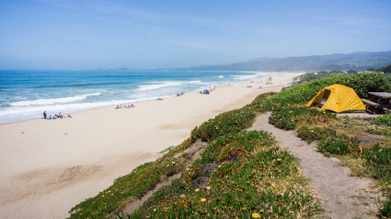 A yellow tent is pitched on the coastline, overlooking the Pacific Ocean.