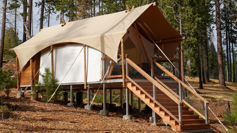 Glamping tent in the middle of the woods
