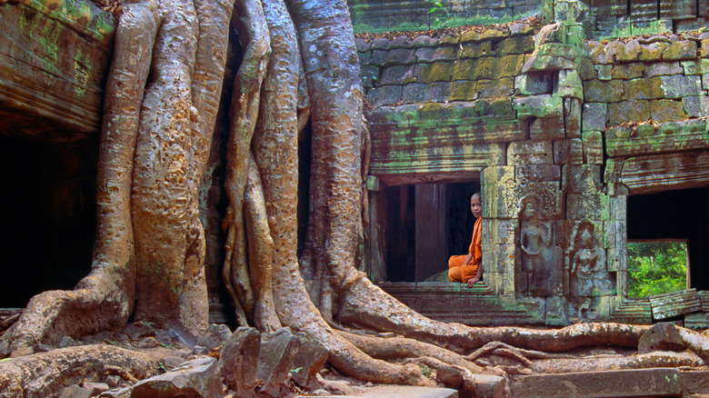 Young orange-robed monk sitting on a window in the ruins of Ta Prohm, Cambodia