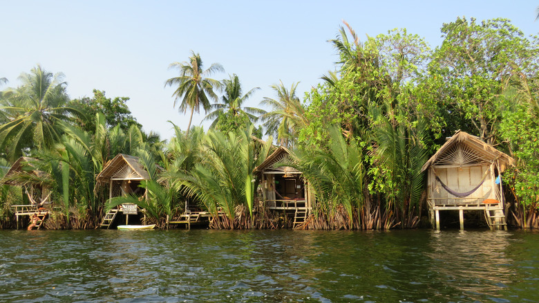 Wooden lodges along a jungle river in Kampot