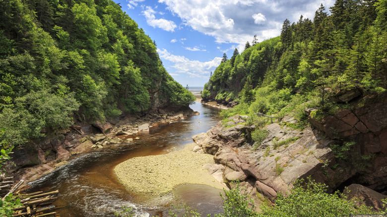 Point Wolfe in Fundy National Park