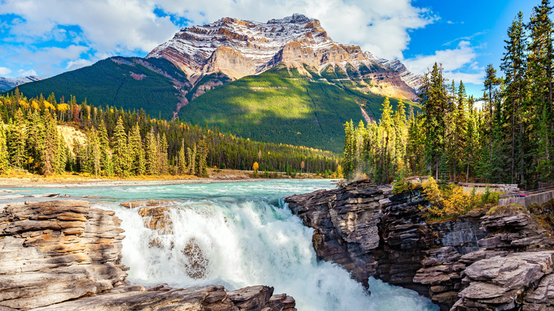 Athabasca Falls in Jasper National Park