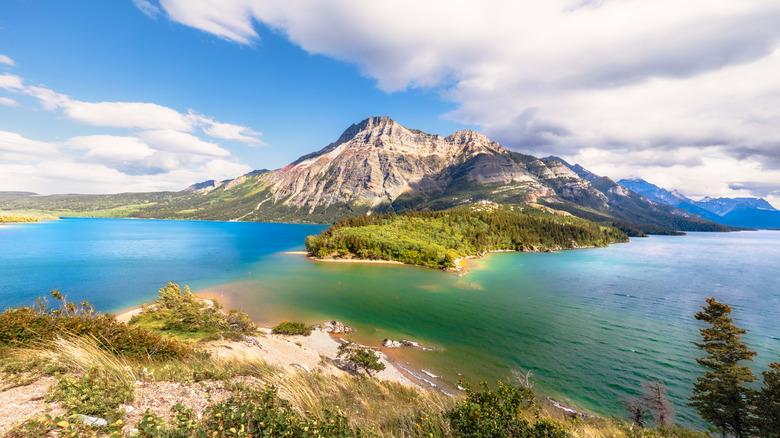 Panoramic view of Waterton Lakes National Park and mountains