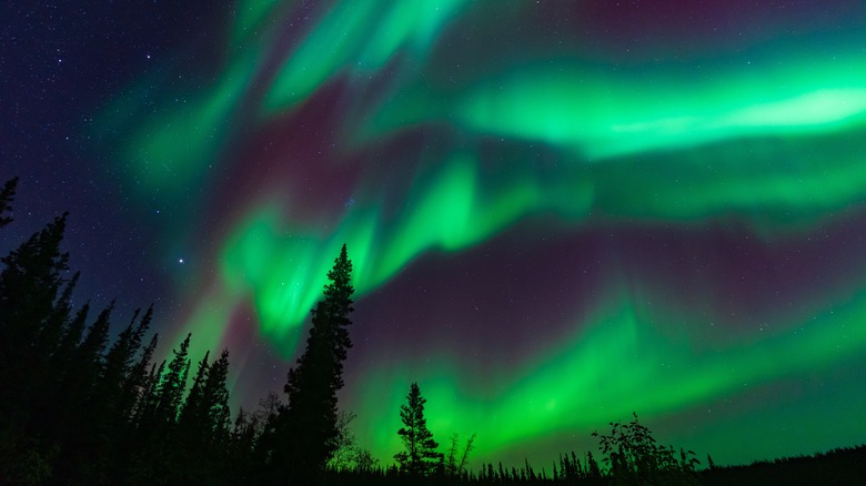 Colorful Aurora Borealis, Northern Lights, at Yellowknife, Northwest Territories