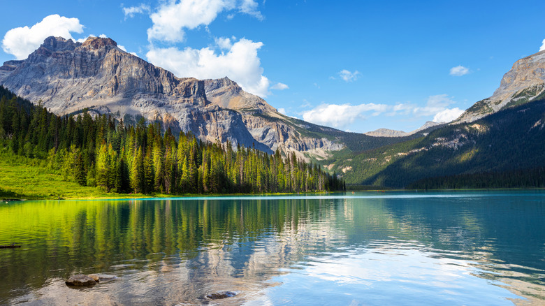 Emerald lake in the Canadian Rockies of Yoho National Park