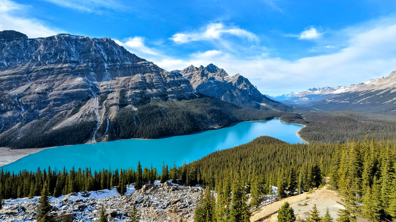 Peyto Lake from above on a sunny day