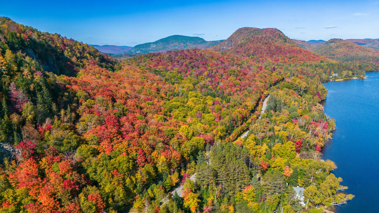 Fall foliage from above in Mont Tremblant National Park in Quebec, Canada