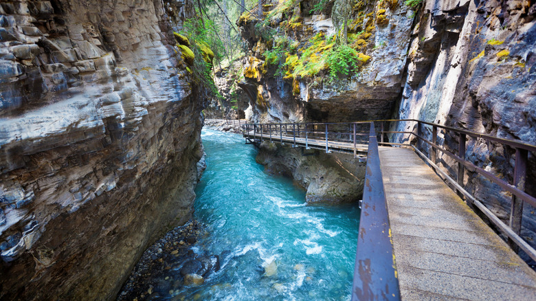 Johnston Canyon in Banff National Park