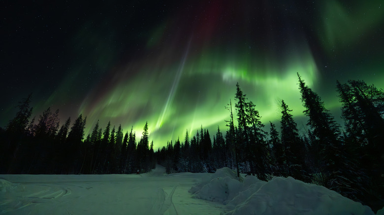 The Aurora Borealis over Yellowknife in the Northwest Territories
