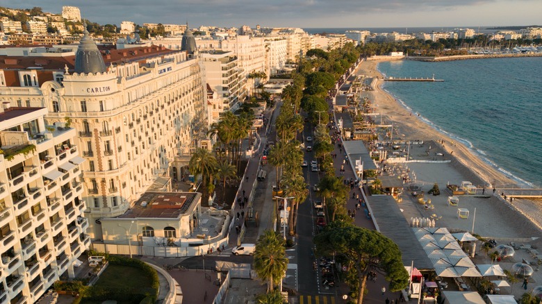 Aerial view of the palm-lined Promenade de la Croisette in Cannes with a view of the luxury Carlton Hotel and a beach along the Mediterranean Sea