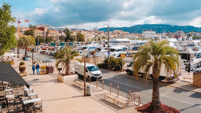 A view of Quai Saint-Pierre in the Old Port of Cannes, with a palm tree in the foreground and numerous yachts moored along the pier