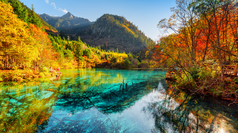 The Five Flower Lake among fall colors in Jiuzhaigou