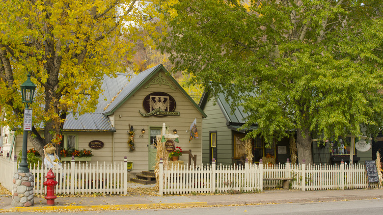 Quaint historic buildings amid trees in Minturn, Colorado
