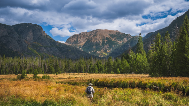 A hiker in a grassland in Rocky Mountain National Park