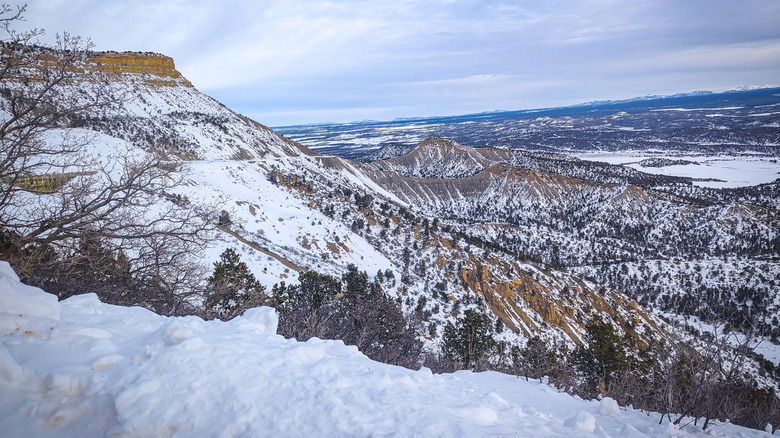 The snow covered hills of Mesa Verde National Park