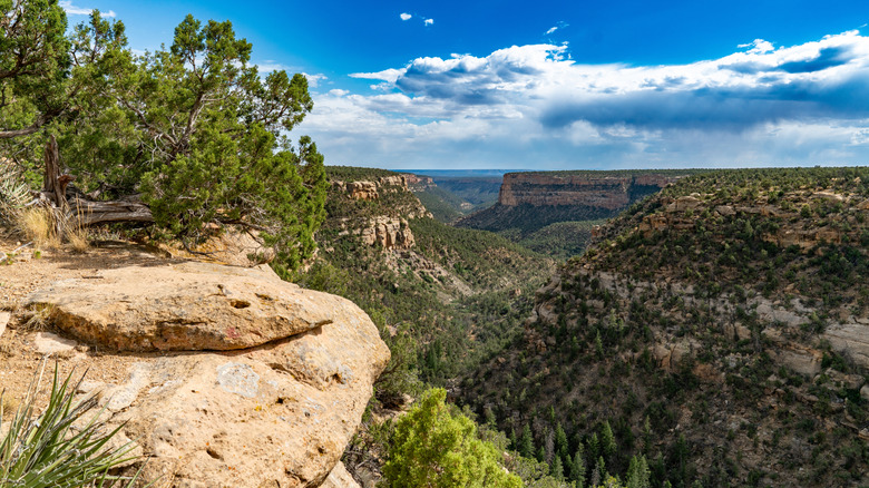 A beautiful view from an overlook at Mesa Verde National Park