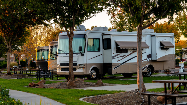 A row of RVs at a campsite is pictured in morning light with changing foliage