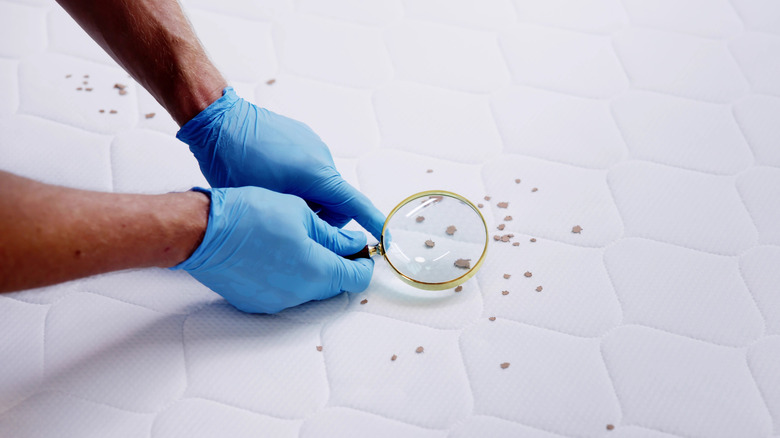 Person using a magnifying glass on a stained mattress