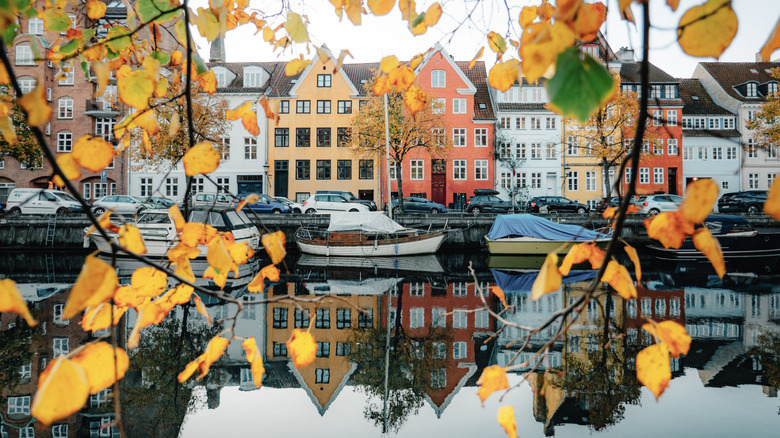 Colorful buildings and boats along Christianshavn canal in Copenhagen framed by autumnal leaves