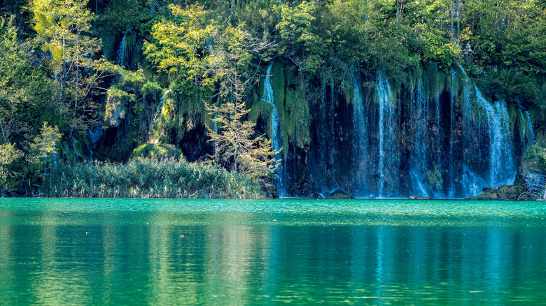 Lake in Plitvice Lakes National Park