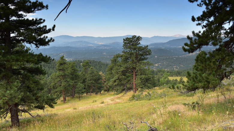 Mountain views from Genesee Park just outside of Denver, Colorado