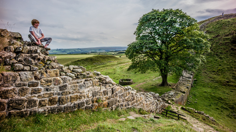 Someone sitting on Hadrian's wall at Sycamore Gap