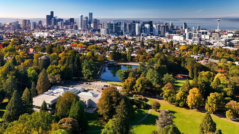 aerial view of a park with trees, city and skyscrapers in the distance