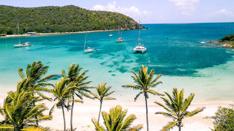 Aerial view of the white-sand beaches of Mayreau