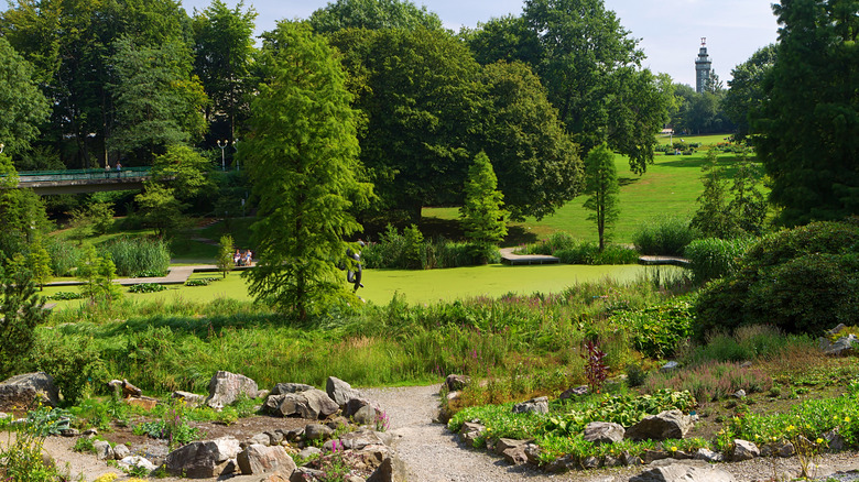 View of trees, foliage, and people enjoying warm weather at Essen's Grugapark