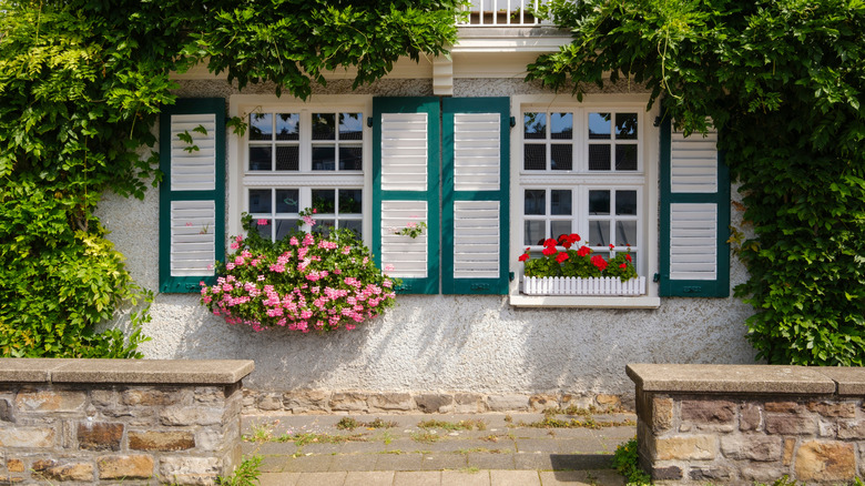 Windows with flowers at the Margarethenhöhe housing development
