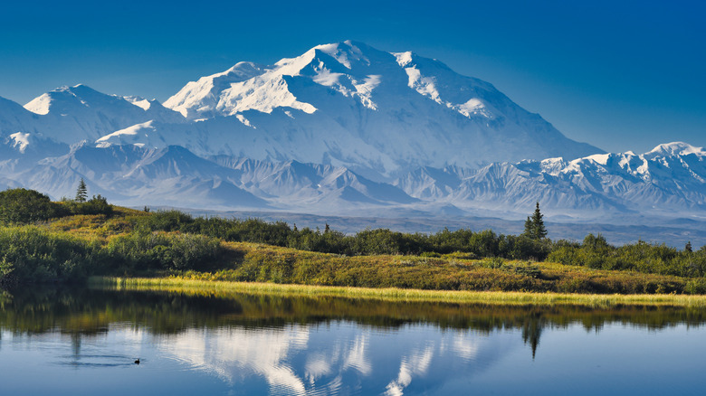 Denali seen over a pond at Denali National Park