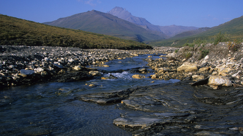 Dawn Creek in Gates of the Arctic National Park, Alaska