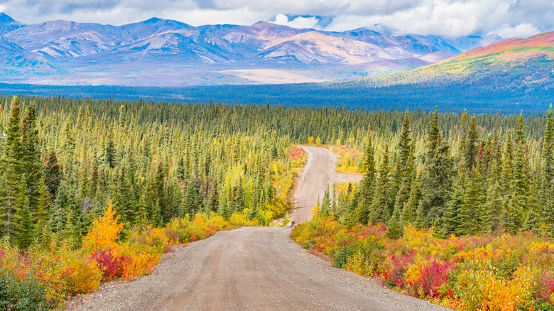 Denali Park Road in Denali National Park, Alaska
