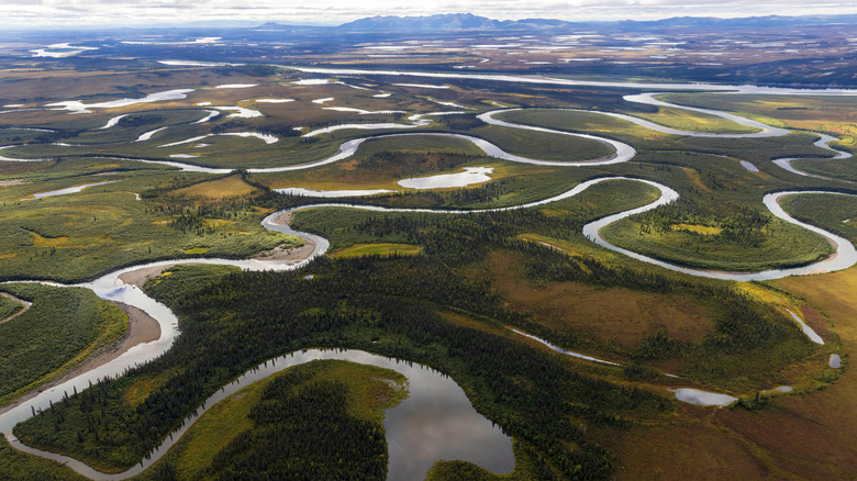 An aerial view of oxbows in Kobuk Valley National Park