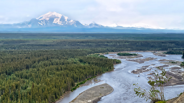 The Copper River at Wrangell-St. Elias National Park